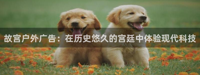 杏宇平台代理怎么赚钱快
