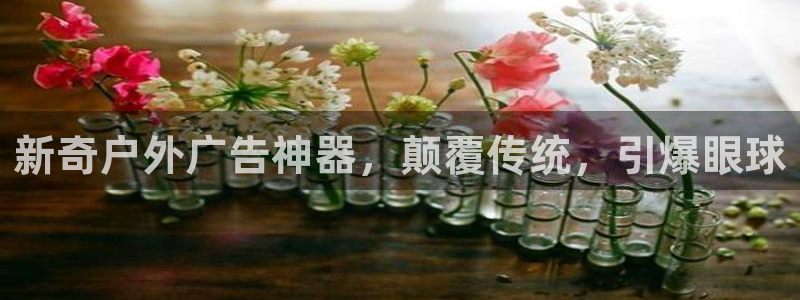 杏宇平台代理多少钱