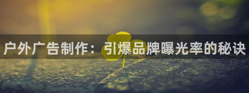 杏宇平台主管