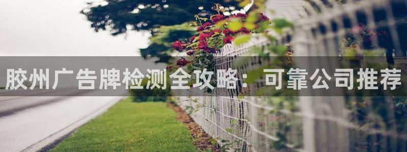 杏宇平台招商电话号码