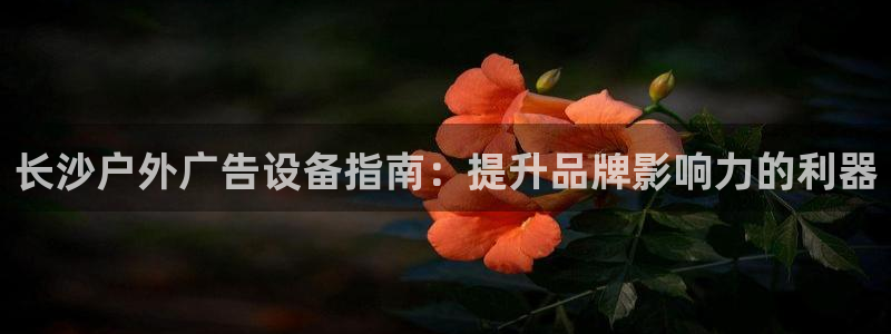 杏宇平台代理多少钱一次