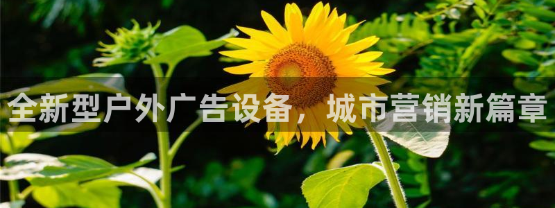 杏宇官方平台官网下载