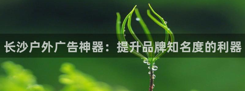 杏宇平台代理怎么样可靠吗