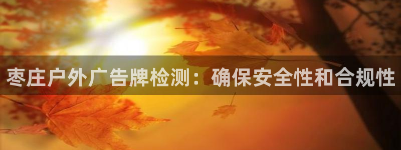 杏宇官方平台官网下载：枣庄户外广告牌检测：确保安全性和合规性