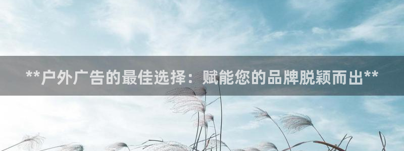 杏宇平台代理怎么赚钱的