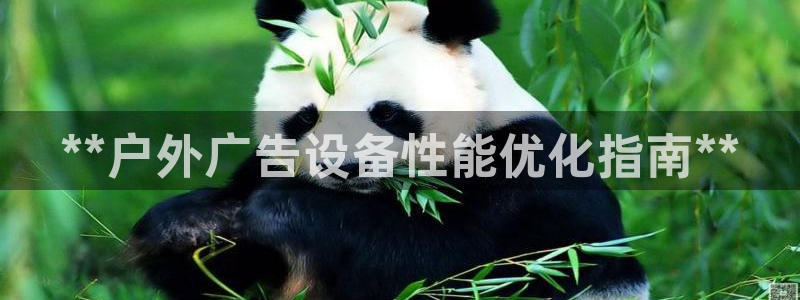 杏宇平台主管
