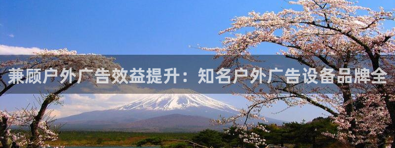 杏宇平台是什么：兼顾户外广告效益提升：知名户外广告设备品牌全