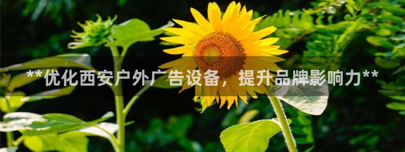 杏宇平台怎么样：**优化西安户外广告设备，提升品牌影响力**