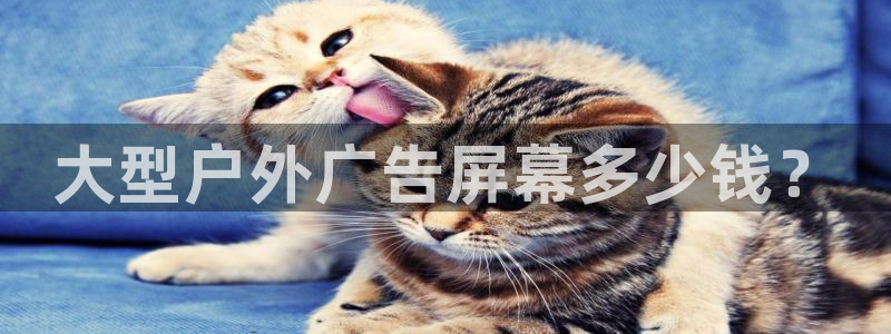 杏宇平台注册登录