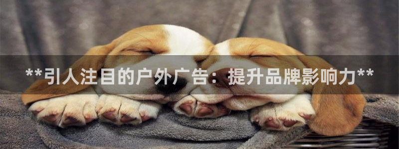 杏宇平台代理：**引人注目的户外广告：提升品牌影响力**