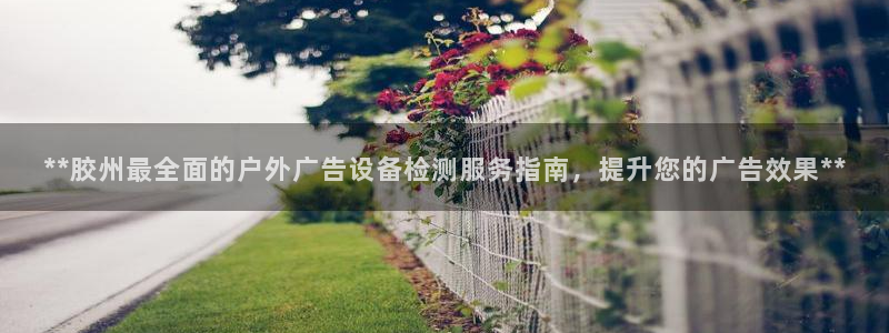 杏宇官方平台官网：**胶州最全面的户外广告设备检测服务指南，提升您的广告效果**