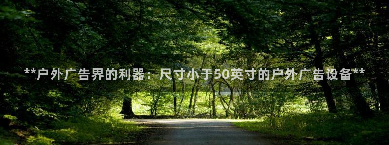 杏宇平台总代理是谁：**户外广告界的利器：尺寸小于50英寸的户外广告设备**