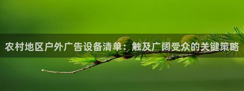 杏宇平台代理怎么样：农村地区户外广告设备清单：触及广阔受众的关键策略