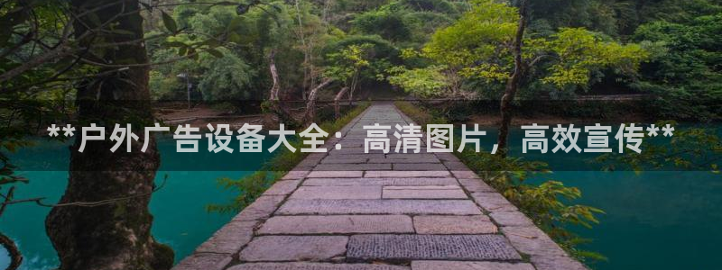 杏宇平台注册登录