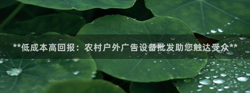 杏宇平台代理怎么赚钱：**低成本高回报：农村户外广告设备批发助您触达受众**