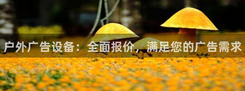 杏宇平台登录步骤图