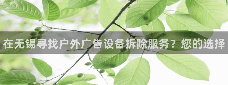 杏宇平台开户