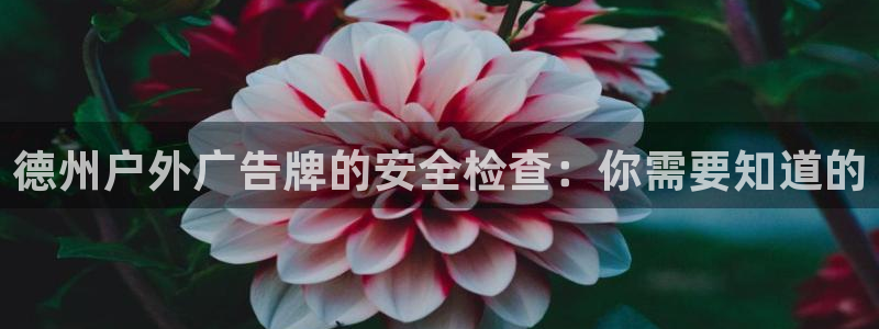 杏宇平台主管