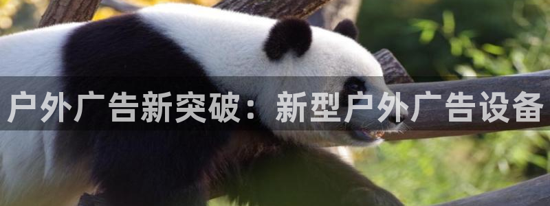 杏宇平台代理怎么赚钱快