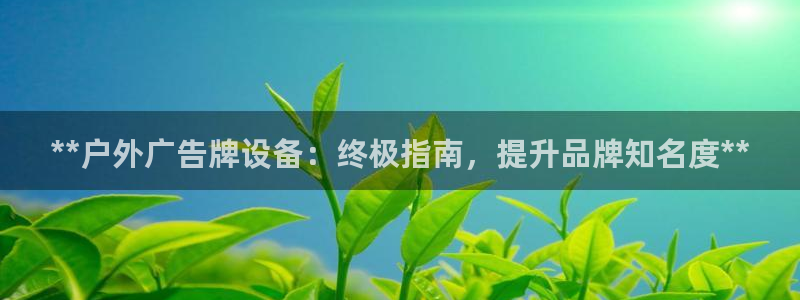 杏宇平台代理怎么赚钱快：**户外广告牌设备：终极指南，提升品牌知名度**