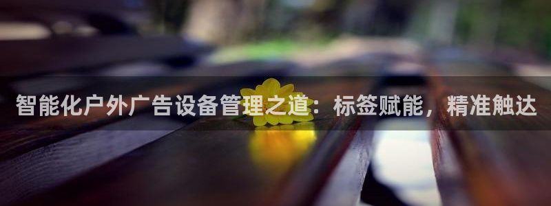 杏宇平台主管