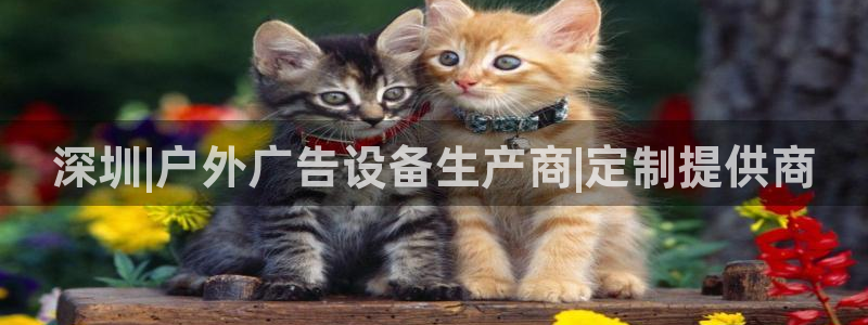杏宇平台代理多少钱一个月
