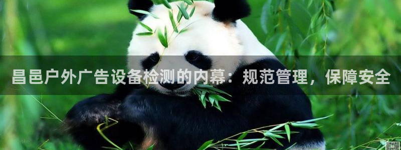杏宇平台登录步骤