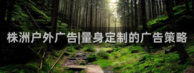 杏宇平台怎么样赚钱：株洲户外广告|量身定制的广告策略