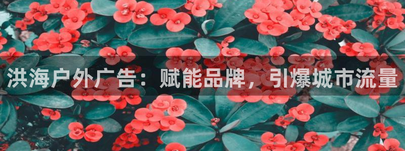 杏宇平台怎么样赚钱