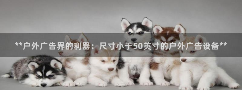 杏宇平台代理