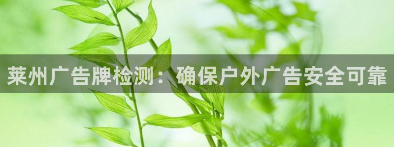 杏宇平台代理怎么赚钱