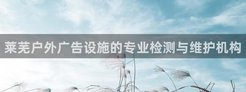 杏宇平台代理怎么赚钱：莱芜户外广告设施的专业检测与维护机构