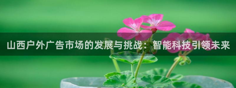 杏宇平台测速链接：山西户外广告市场的发展与挑战：智能科技引领未来