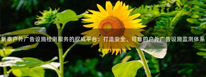 杏宇平台总代理：新泰户外广告设施检测服务的权威平台：打造安全、可靠的户外广告设施监测体系