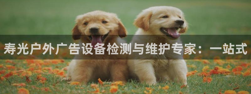 杏宇官方平台官网入口：寿光户外广告设备检