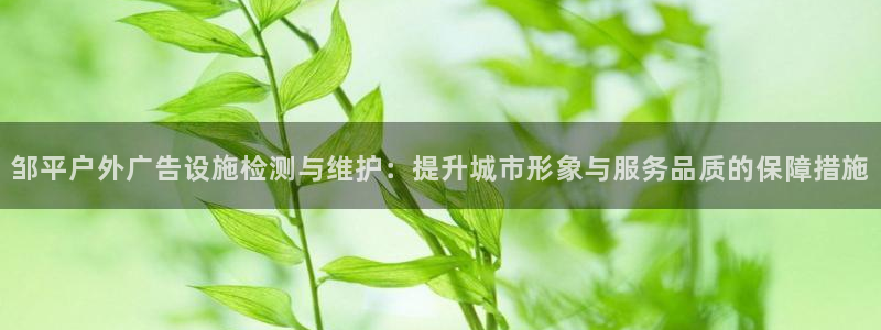 杏宇平台官网注册：邹平户外广告设施检测与