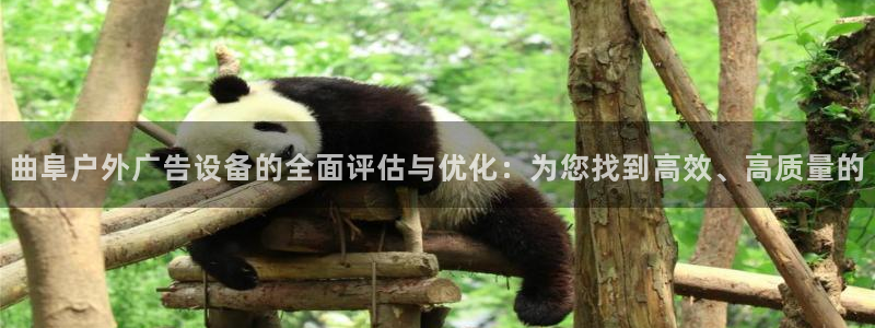杏宇平台招商：曲阜户外广告设备的全面评估