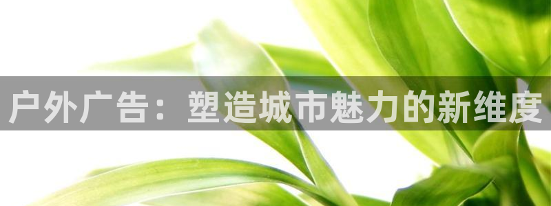 杏宇平台代理怎么样可靠吗