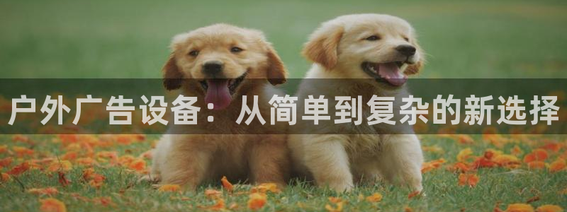 杏宇平台怎么样：户外广告设备：从简单到复