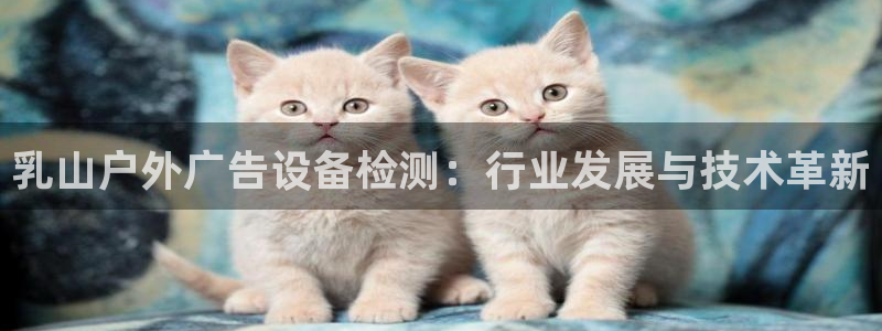 杏宇平台客服：乳山户外广告设备检测：行业