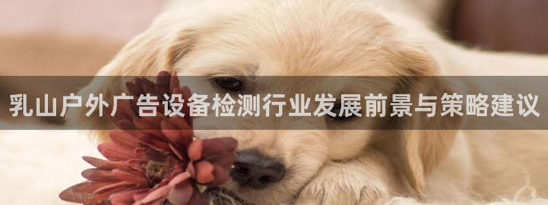 杏宇平台主管：乳山户外广告设备检测行业发