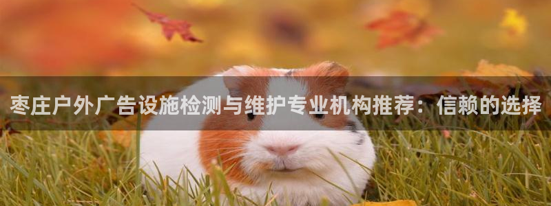 杏宇平台登录步骤是什么：枣庄户外广告设施