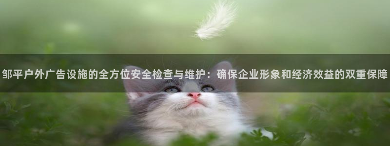 杏宇平台注册登录：邹平户外广告设施的全方