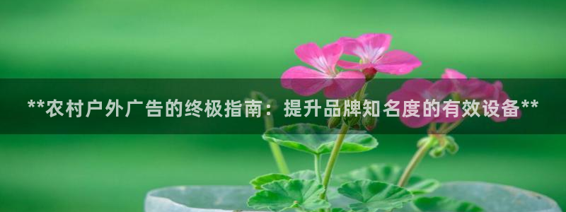 杏宇平台代理：**农村户外广告的终极指南