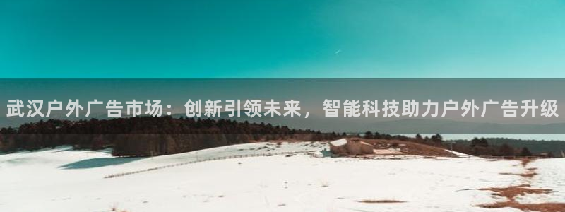 杏宇平台总代理：武汉户外广告市场：创新引
