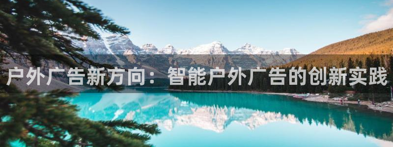 杏宇平台代理怎么赚钱的