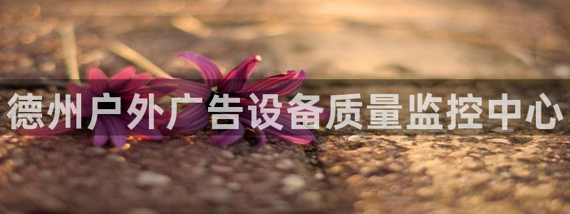 杏宇平台怎么样：德州户外广告设备质量监控