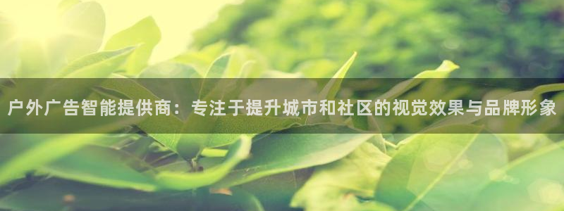 杏宇平台开户：户外广告智能提供商：专注于