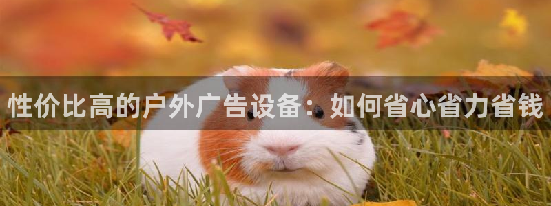 杏宇平台代理多少钱一个：性价比高的户外广