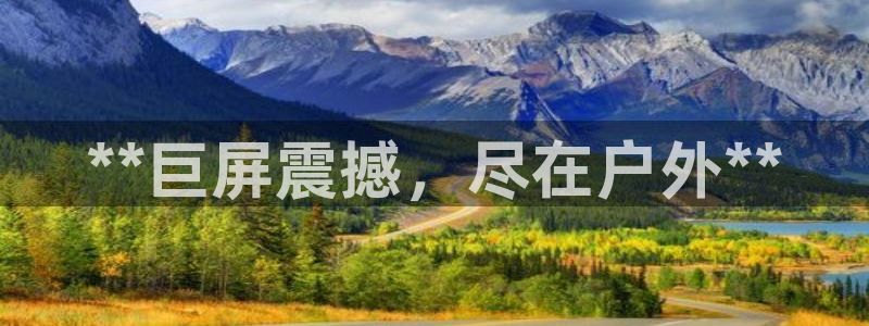 杏宇平台是什么